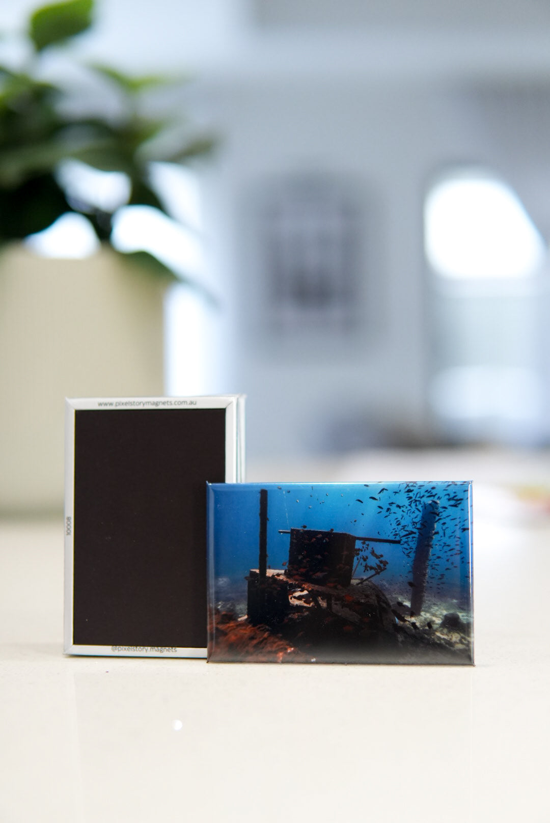 Custom Photo Magnets (Rectangle)