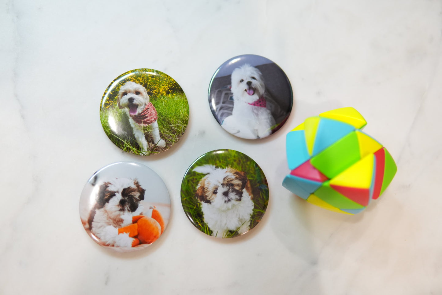 Custom Photo Magnets (Round)