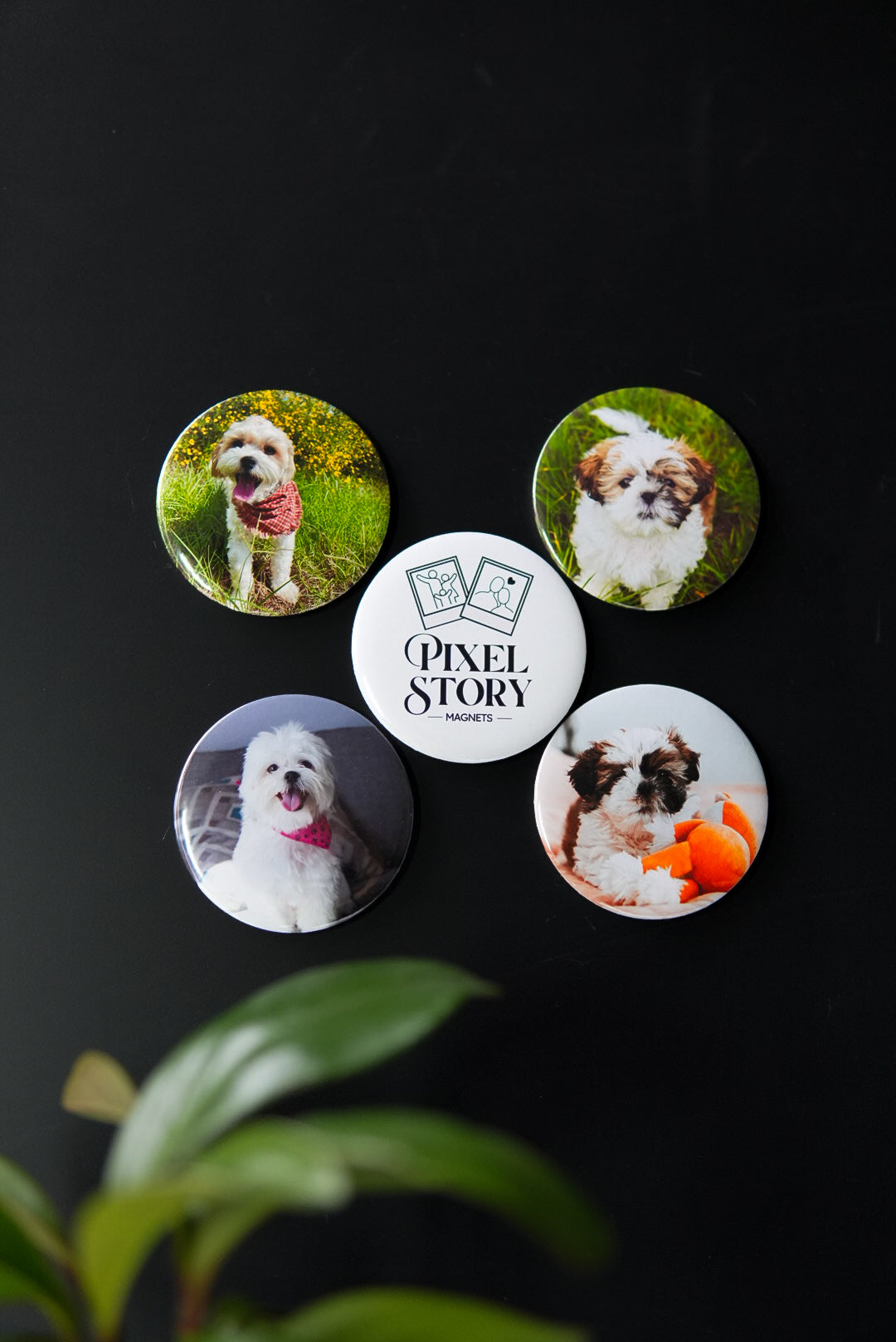Custom Photo Magnets (Round)