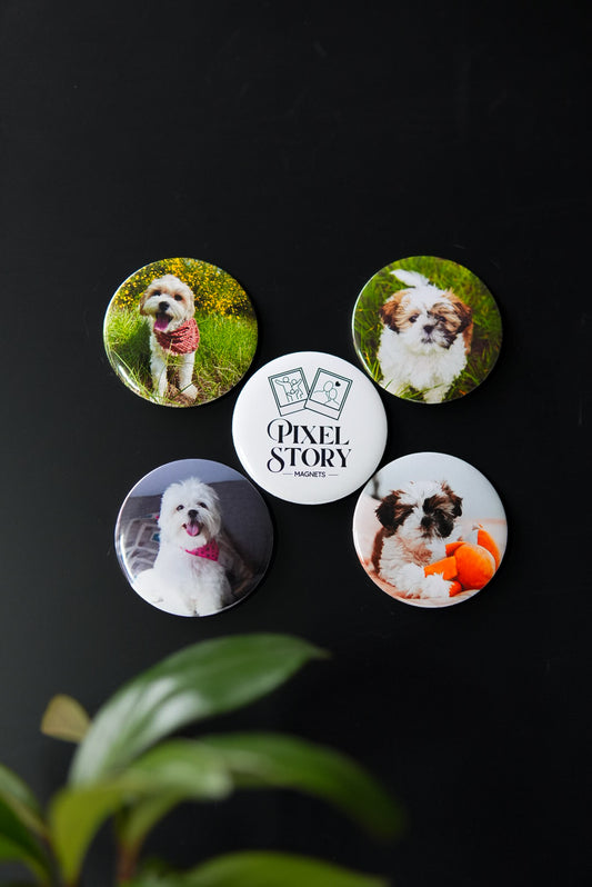 Custom Photo Magnets (Round)