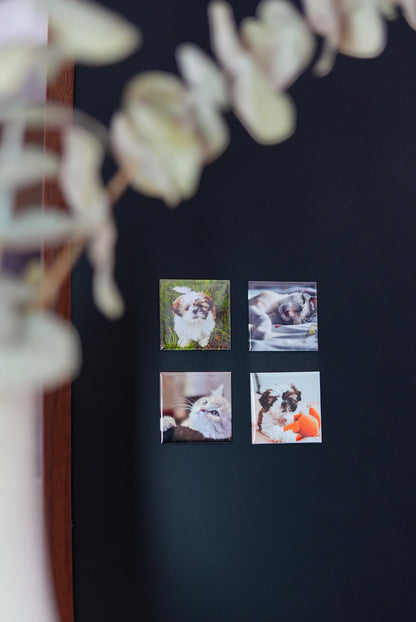 Custom Photo Magnets (Square)